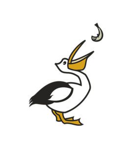 Pelican Vector Design