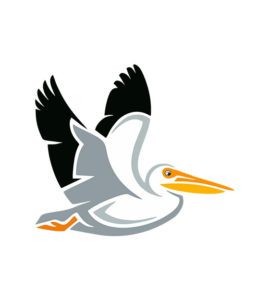 Flying Pelican Vector