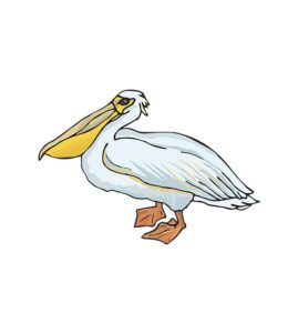 Pelican Vector File