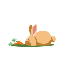 Rabbit Vector Art