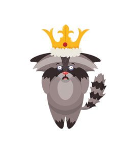 King Raccoon Vector