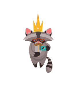 Mustaches Raccoon Vector