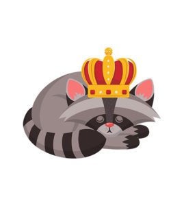 Sleeping Raccoon Vector