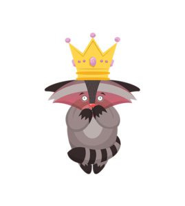 Raccoon Vector Design