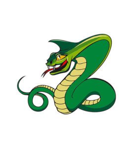 Cobra Snake Vector
