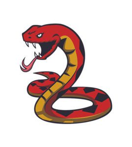 Dangerous Red Snake Vector