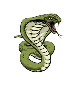 Cobra Snake Vector Art