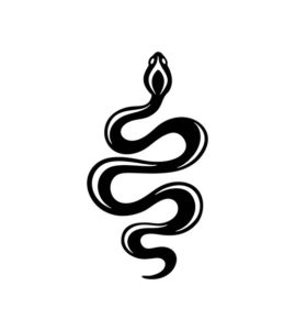 Snake Stencil