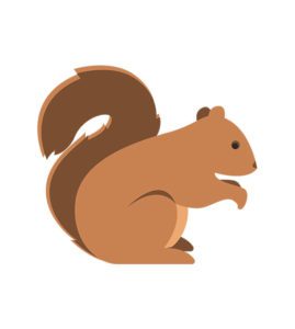 Squirrel Vector Art