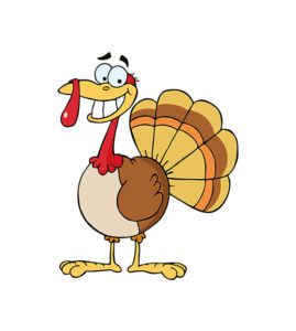 Turkey Vector
