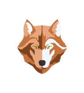 Wolf Face Vector Art  Wild Wolf Face Vector  Yellow Eyes Wolf Face Vector File