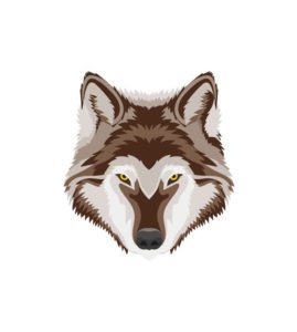 Dangerous Wolf Face Vector Art  Brown Face Wolf Vector  Wolf Head Vector