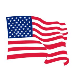United State flag vector