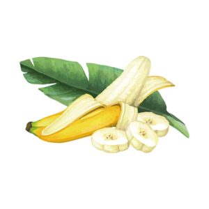 CAPTIVATING PEELED AND SLICED BANANA VECTOR ART