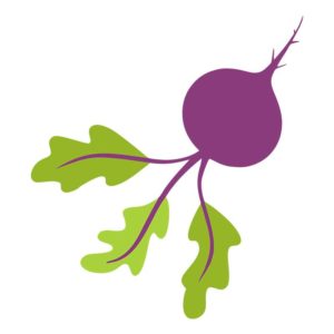 Savory Imposing Beetroot Vector Art