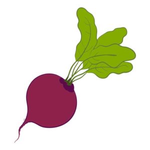 Delectable Beetroot Vector Art