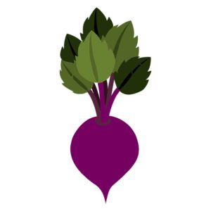 Pleasingly Rich Beetroot Vector Art