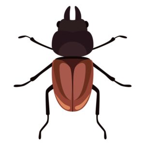 Overwhelming Stag Beetle Vector Art