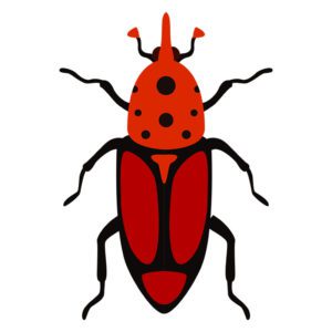 Checkered Beetle Vector Art