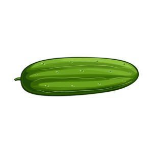 Delectable Persian Cucumber Vector Art
