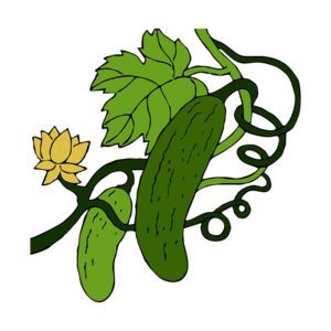 Captivating Kirby Cucumber Vines Vector Art