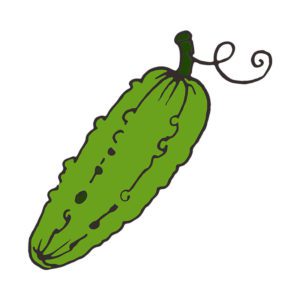 Palatable Kirby Cucumber Vector Art