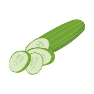 Freshly Sliced Cucumber Vector Art