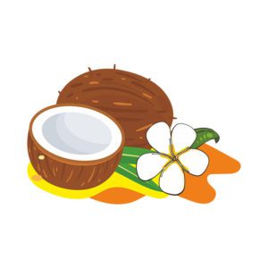 PLEASANT COCONUT DRINK WITH ORCHID FLOWERS VECTOR ART