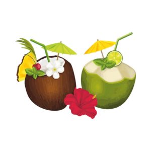 FASCINATING TROPICAL AND LIME COCONUT DRINK VECTOR ART