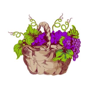DELICATE BASKETFUL GRAPES VECTOR ART