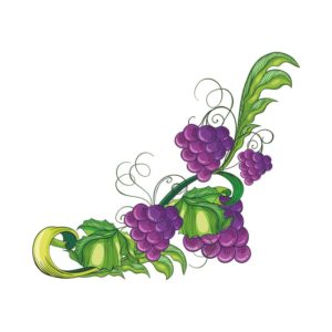RICH AND PLUMP GRAPES VECTOR ART