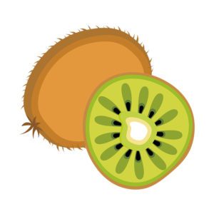 Palatable Kiwi Fruit Vector Art