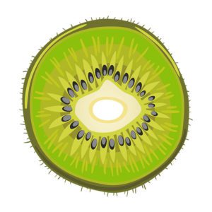 Half-Cut Nutrient-Dense Kiwi Fruit