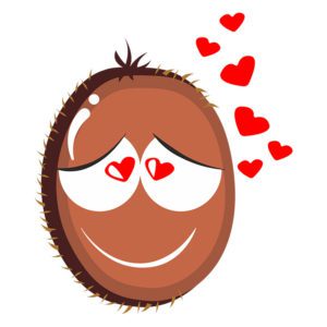 Fallen In Love Kiwi Fruit
