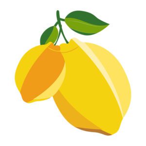 DELICIOUS BITTERSWEET LEMON VECTOR ART