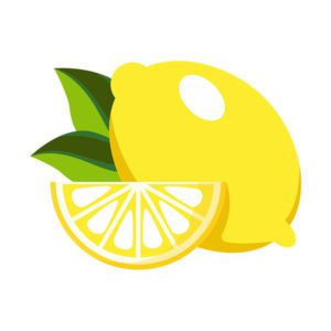 Succulence Fresh Lemon Vector Art