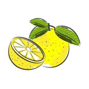 RIPEN AND PULPY LEMON VECTOR ART