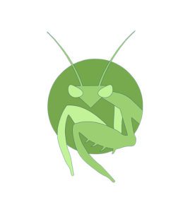 GREEN GROUND MANTIS VECTOR ART