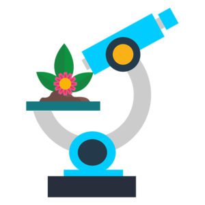 Botany Confocal microscopy Vector Art