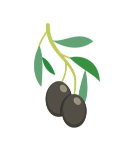 Olives Vector Art