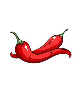 RED CHILI VECTOR