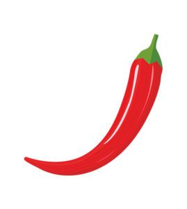 chili pepper vector