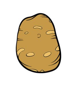 Potato Vector