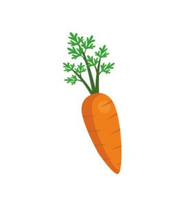 carrot vector