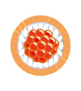 Fish Eggs Vector Art