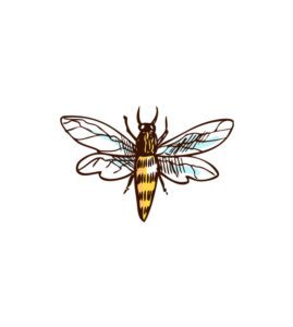 Beautiful Sketch Wasp Vector