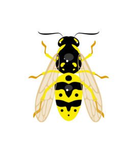 German Wasp Vector Art