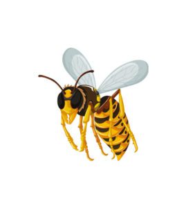 LOOMING AND GRIM WASPS VECTOR ART