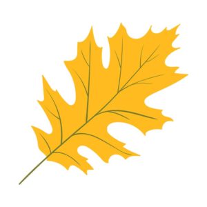 YELLOW HERBSTBLÄTTER AUTUMN LEAF VECTOR ART