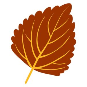 ELEGANT AUTUMN LEAF VECTOR ART